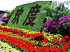 花壇